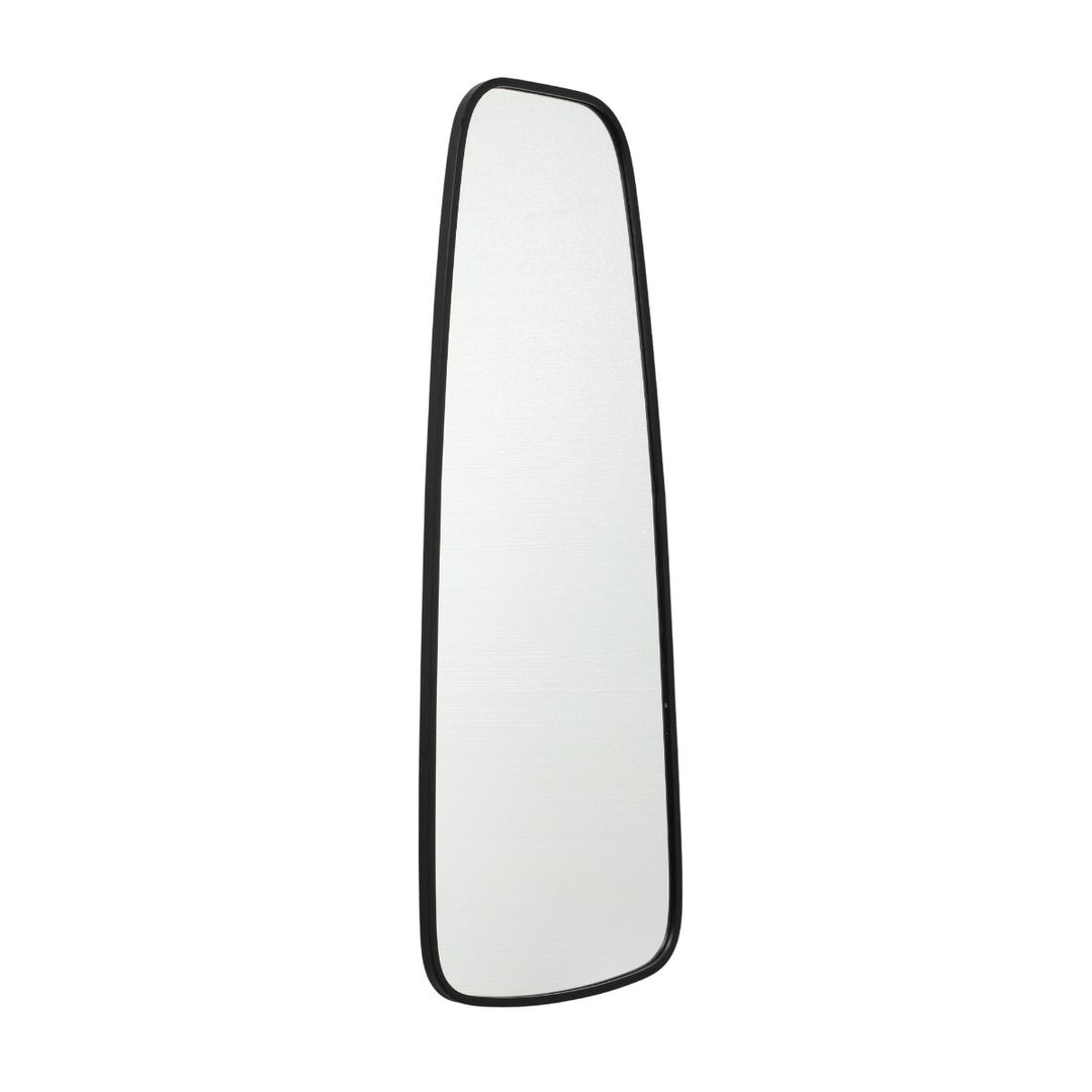 Zane Modern Metal Gold Framed Long Wall Mirror