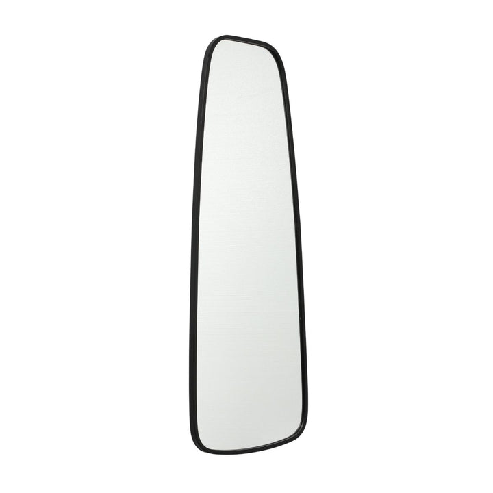 Zane Modern Metal Gold Framed Long Wall Mirror